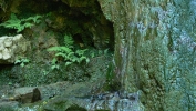 PICTURES/Pigeon Mountain - Georgia/t_Artsy Water Shot3.JPG